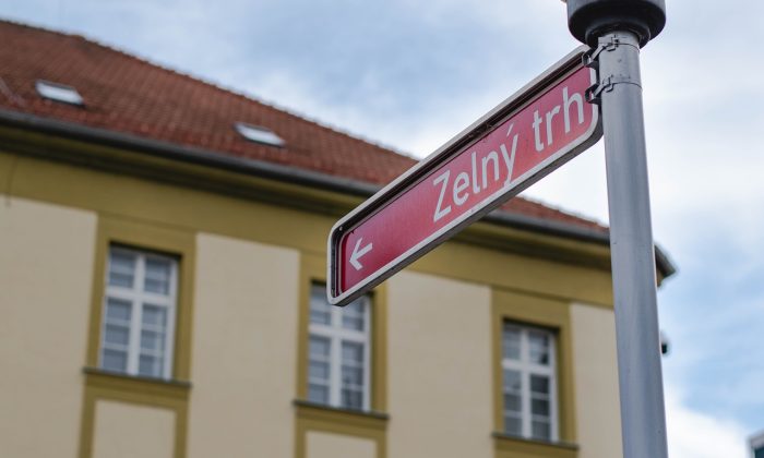 Zelný trh