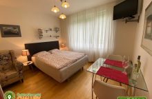 Apartmán Srní 119 - ubytování u lesa - Šumava