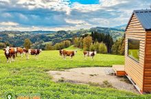 Jizerské domky - Neposeda - glamping Haratice