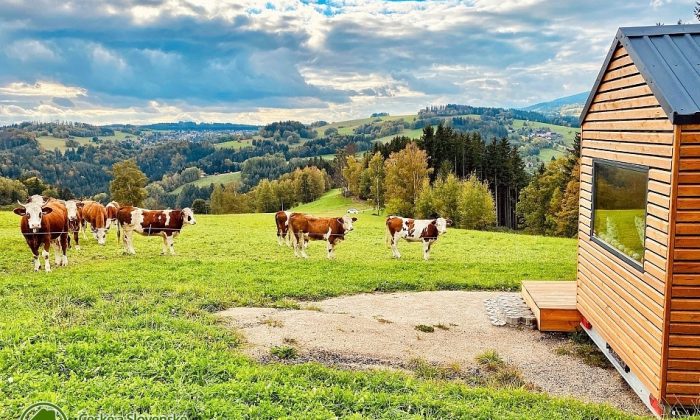 Jizerské domky - Neposeda - glamping Haratice