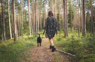 Zákaz vstupu do lesů, zákon, zákaz sběru hub, pokuta, pokuta les Kloš, kloš jelení, létající klíště, klíště, parazit