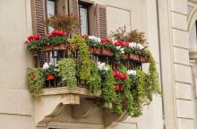 Daň, balkonová daň, daň balkon, balkon, peníze