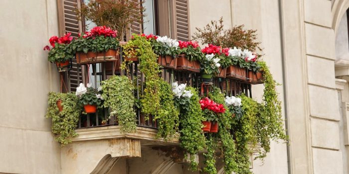 Daň, balkonová daň, daň balkon, balkon, peníze