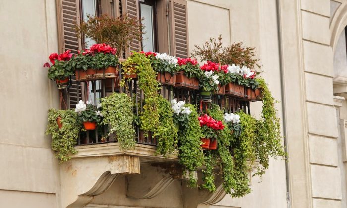 Daň, balkonová daň, daň balkon, balkon, peníze