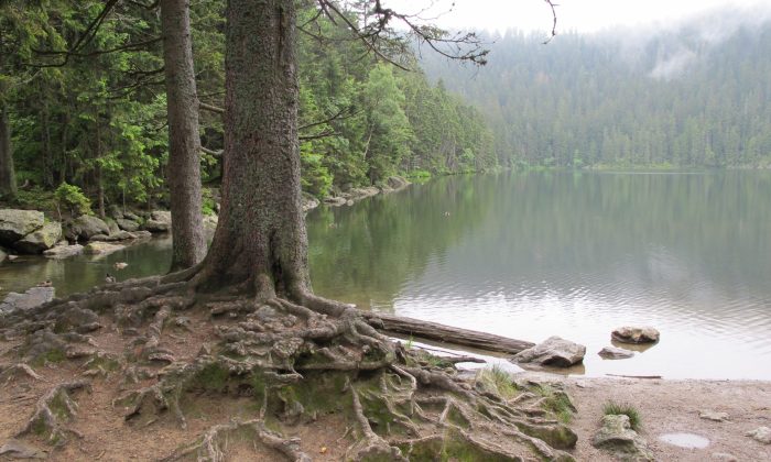 Čertovo jezero