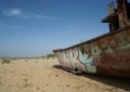 Aral sea